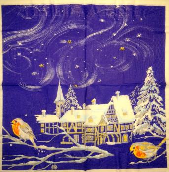 243 Winterlandschaft - 3-lagig