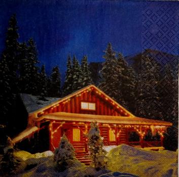 205 Winterlandschaft - 3-lagig - Stewo