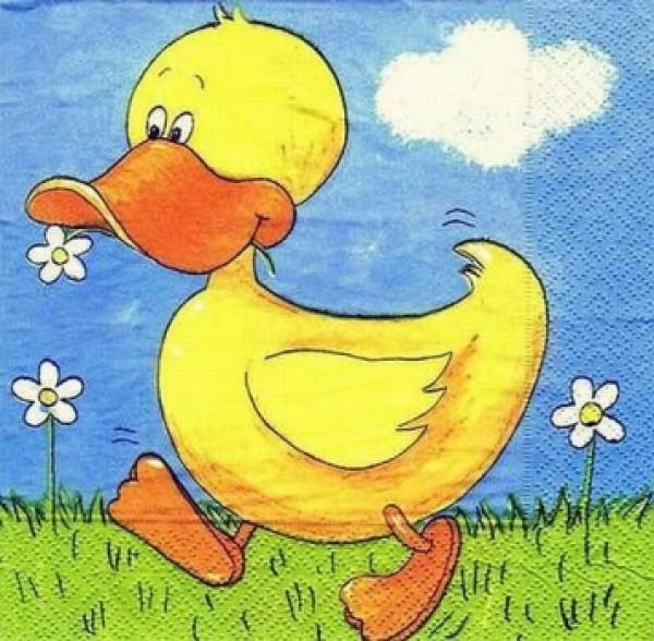109 Ducks - 3-ply (blue)