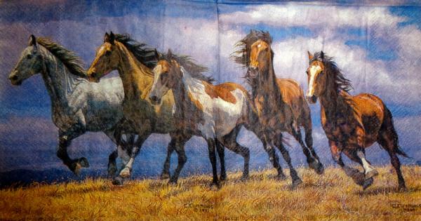 121 Horses - 3-ply - Cummings 2007 - CS