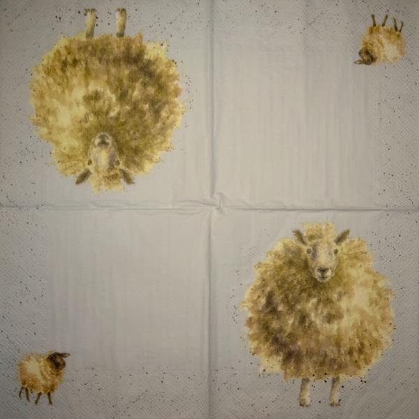 122 Sheep - 3-ply - ppd - Jan Gillibrand