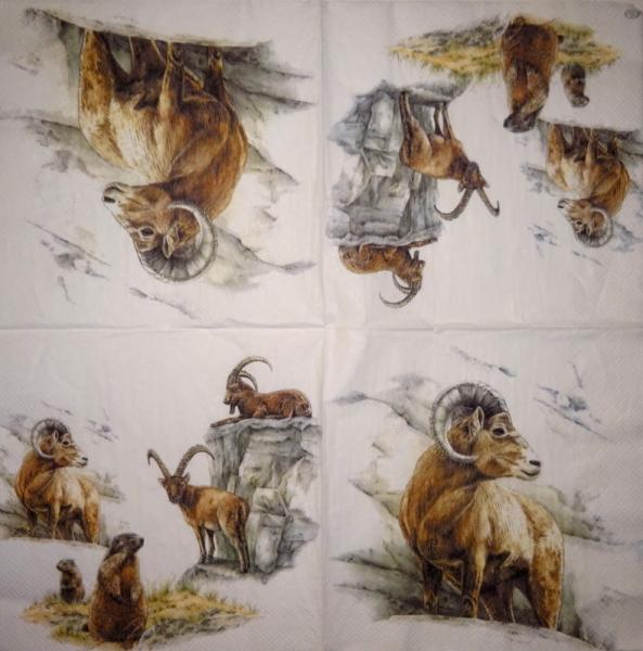 122 Sheep - 3-ply - ppd - Jan Gillibrand