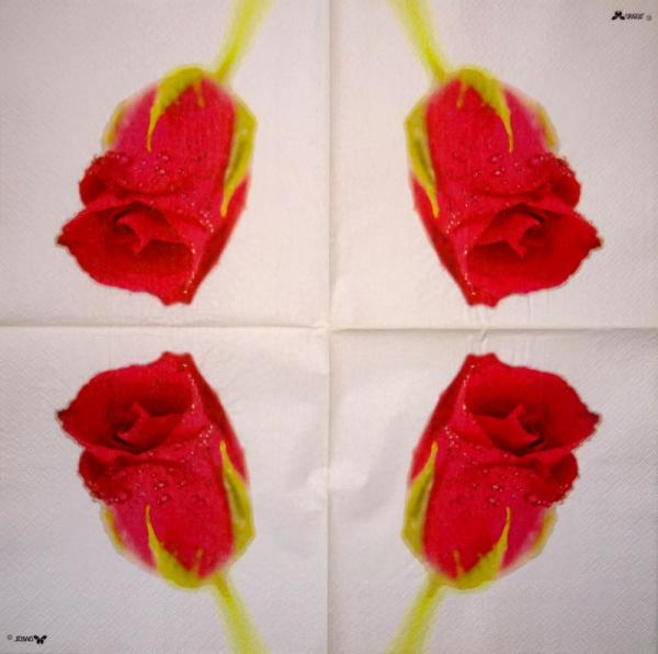 727 Rosen - 3-lagig - TRUBA