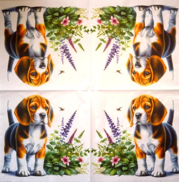 HUN-1513 Dogs - 3-ply - Specials