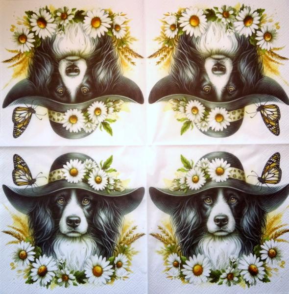 HUN-1518 Dogs - 3-ply - Specials