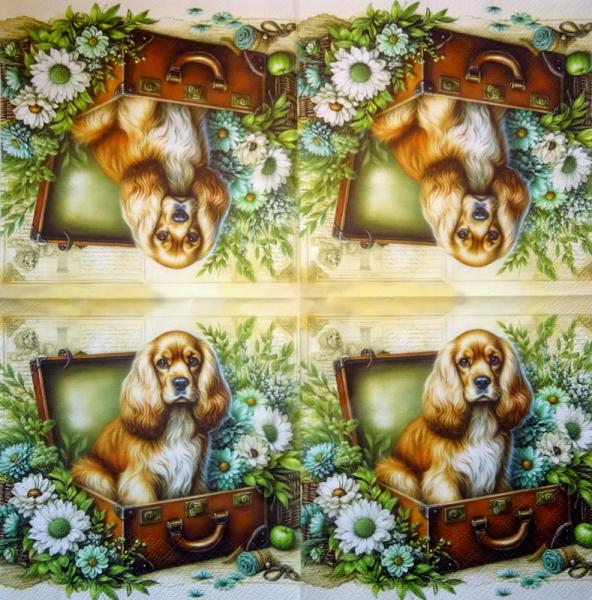 HUN-1519 Dogs - 3-ply - Specials