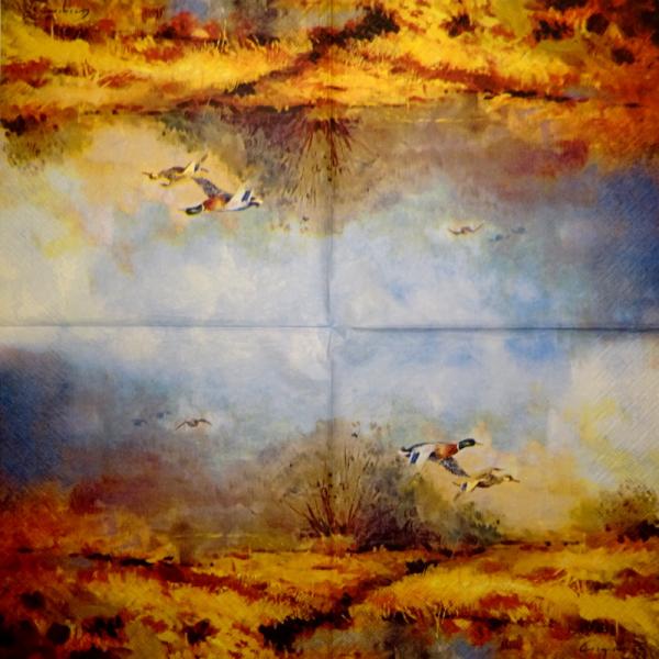 117 Ducks - 3-ply (weiß)