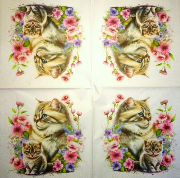 299 Cats - 3-ply