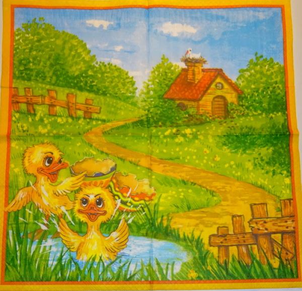 061 Ducks - 3-ply (61)