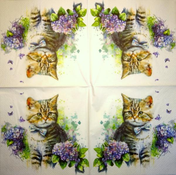 299 Katzen - 3-lagig