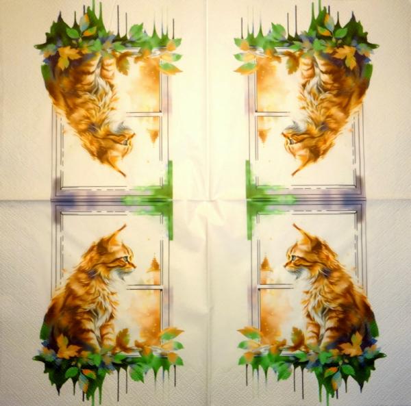 299 Katzen - 3-lagig
