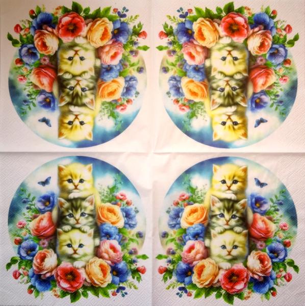 299 Katzen - 3-lagig