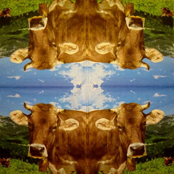 166 Cows - 3-ply - Ti-Flair