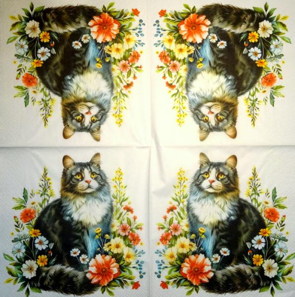 299 Katzen - 3-lagig