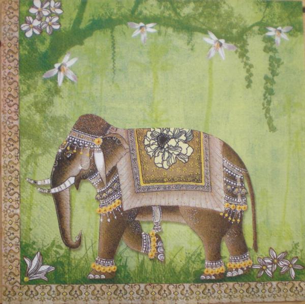 017 Elephant