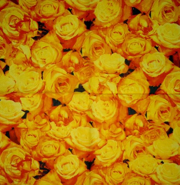 774 Rosen - 3-lagig (1681)