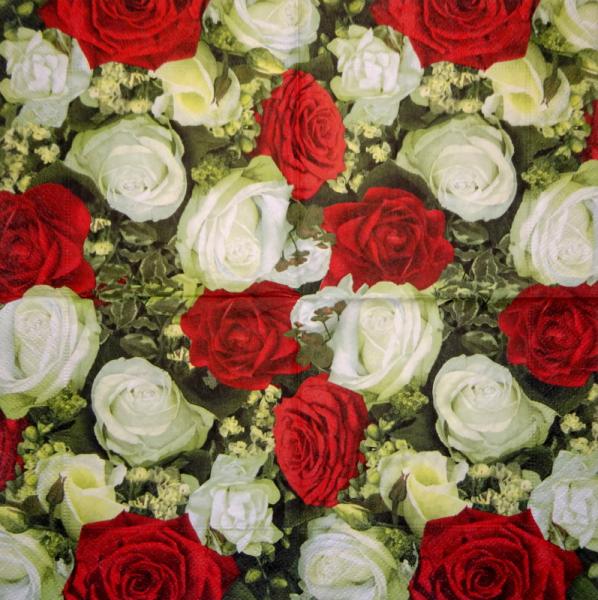 215 Rosen - 3-lagig - Stewo