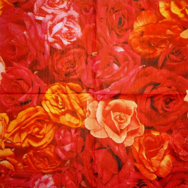 400 Rosen - 3-lagig