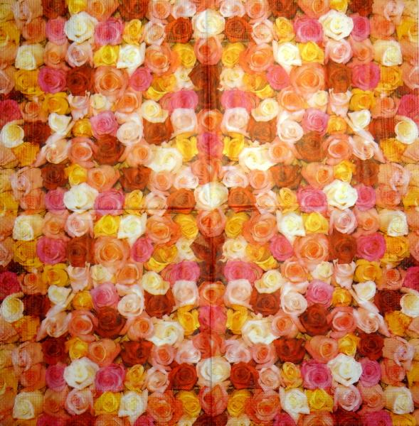 653 Roses - 3-ply