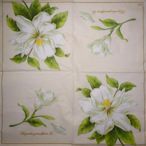 021 Magnolias - 3 ply - Paw