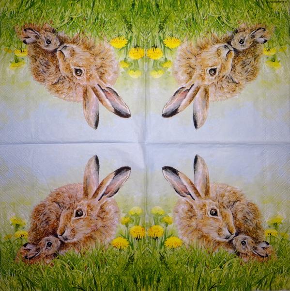 999.186 Hasen: natürliche - 3-lagig - Peter Rabbit 2005