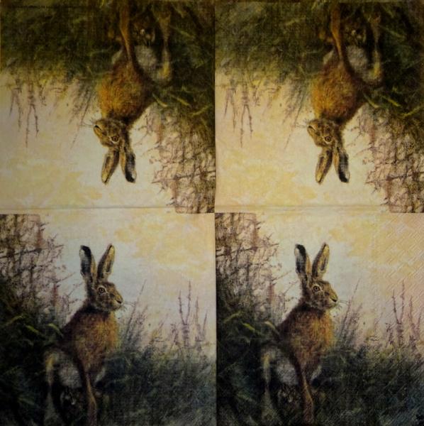 999.186 Hasen: natürliche - 3-lagig - Peter Rabbit 2005