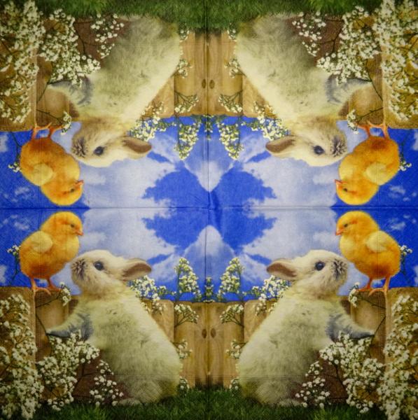 169 Rabbits:  natürlich - 3 ply