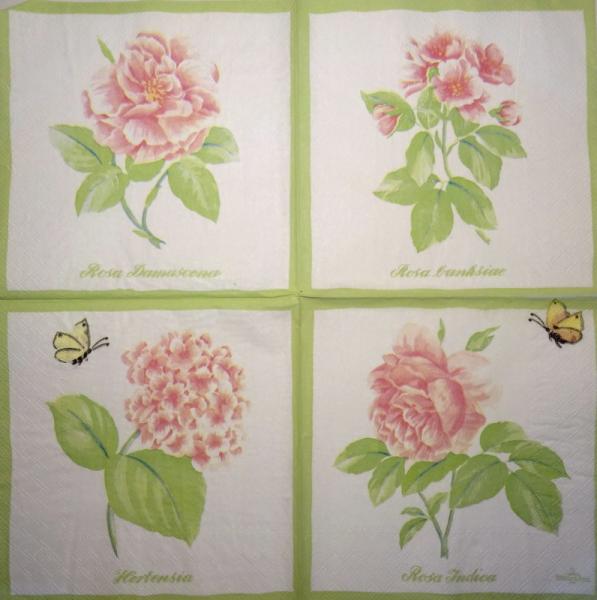 556 Roses - 3-ply -  - Villeroy& Boch
