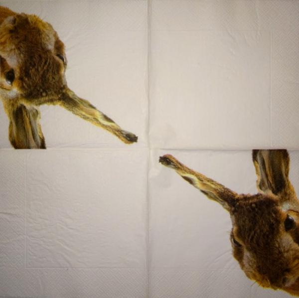 169 Rabbits:  natürlich - 3 ply