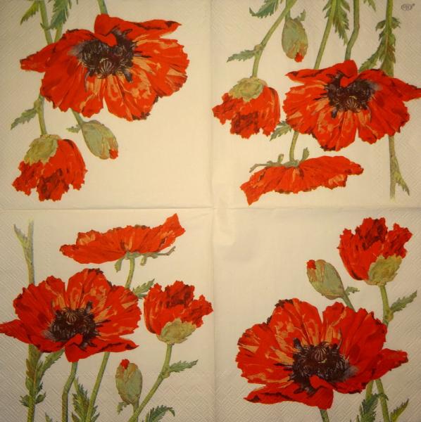 193 Anemones, Poppy - 3-ply - Eva Logell