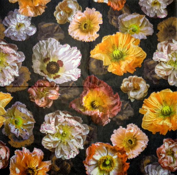 193 Anemones, Poppy - 3-ply - Eva Logell