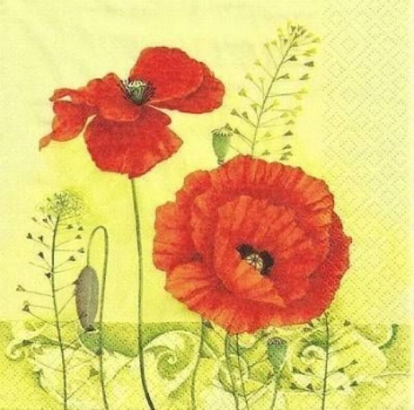 193 Anemones, Poppy - 3-ply - Eva Logell