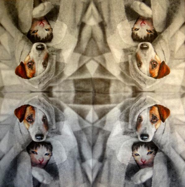 HUN-873 Dogs - 3-ply - Fasana