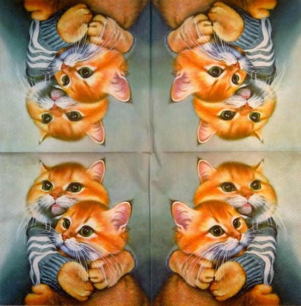 299 Cats - 3-ply
