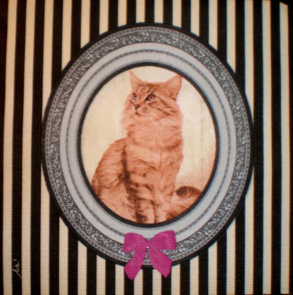 999.024 Cats