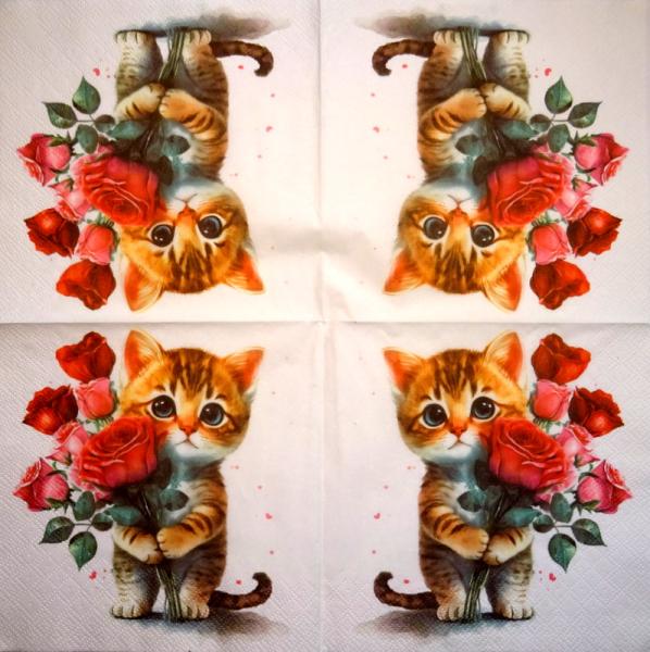 999.106 Katzen - 3-lagig
