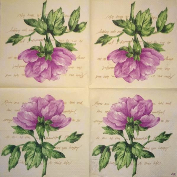 059 Rosen - 3-lagig (rosa) - Madame est Servie