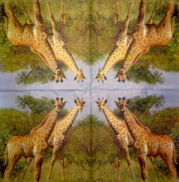 018 Giraffe - 4-lagig - Paper Design - Taschentuch