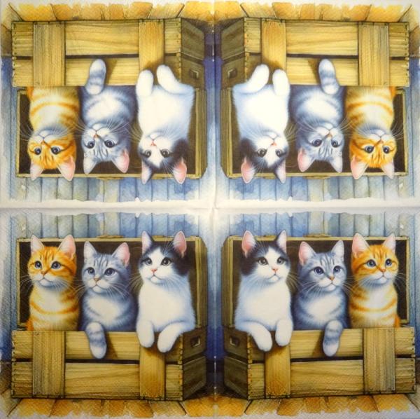 299 Cats - 3-ply