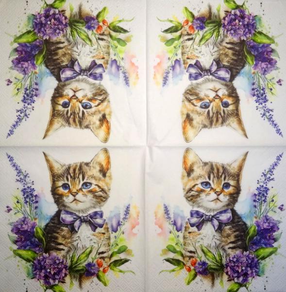 299 Katzen - 3-lagig