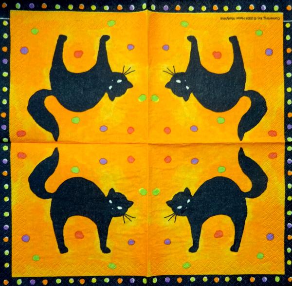 255 Katzen - 3-lagig - Converting 2004 - Helen Vladykina - CS