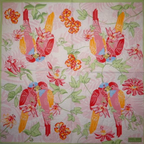 019 Parrot - 3-ply - Ihr