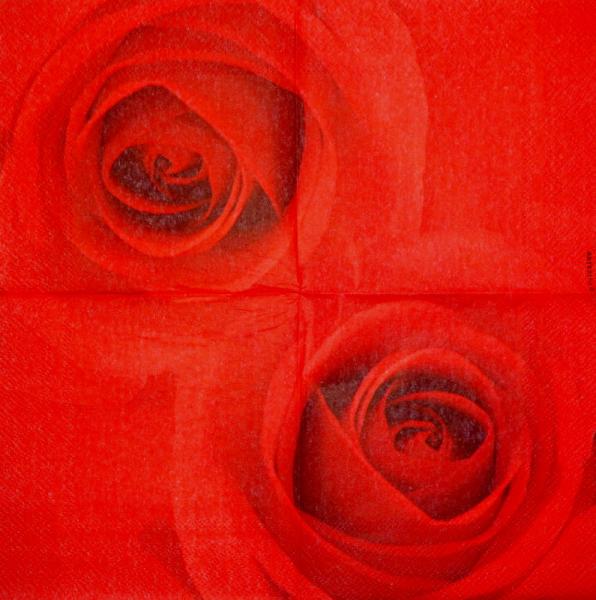 757 Roses - 3-ply - CS