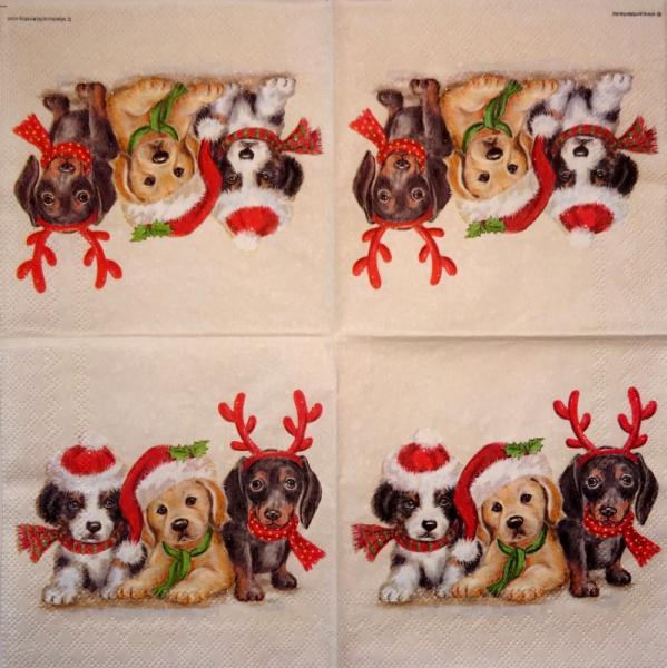 HUN-783 Hunde - 3-lagig - Ambiente