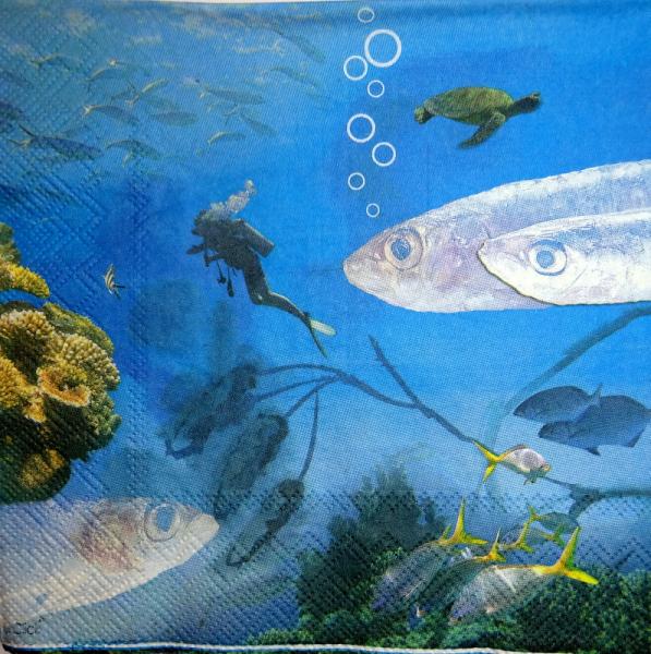 080 Fische - 3-lagig - Click / Ihr