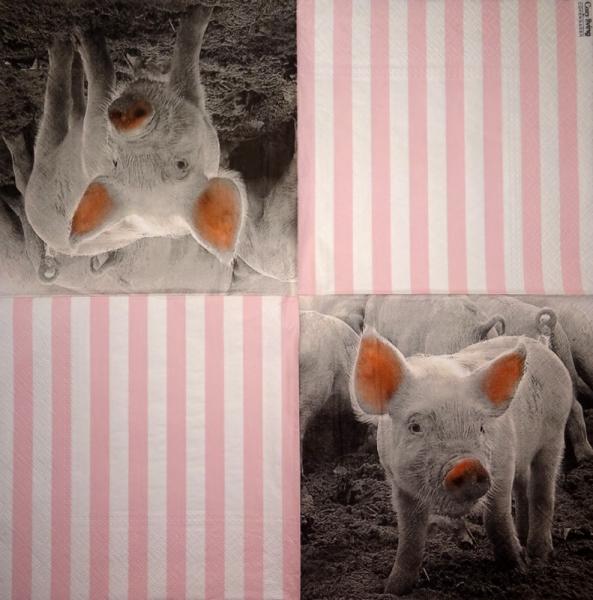 080 Pigs - 3-ply - Nouveau