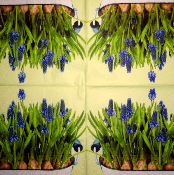 067 Daffodils - 3-ply - Daisy