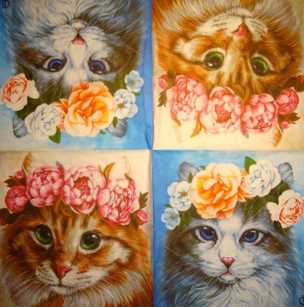 299 Katzen - 3-lagig