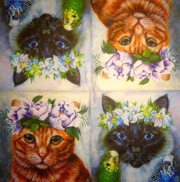 299 Katzen - 3-lagig