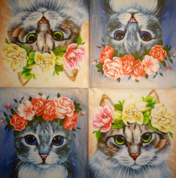 299 Katzen - 3-lagig